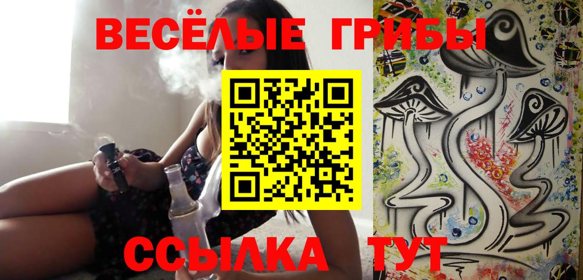 Псилоцибиновые грибы Psilocybe Дивногорск